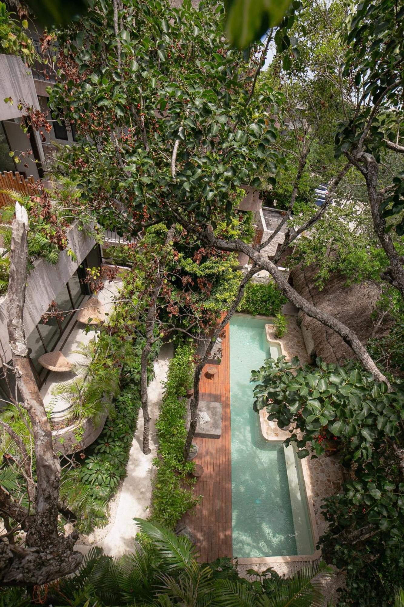 Zereno Tulum Beach Club Access ภายนอก รูปภาพ